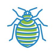 Charleston Pest Control And Bed Bug Service