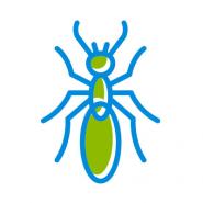 Charleston Pest Control And Termite Control Service