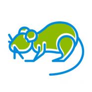 Charleston Pest Control And Rodent Control Service